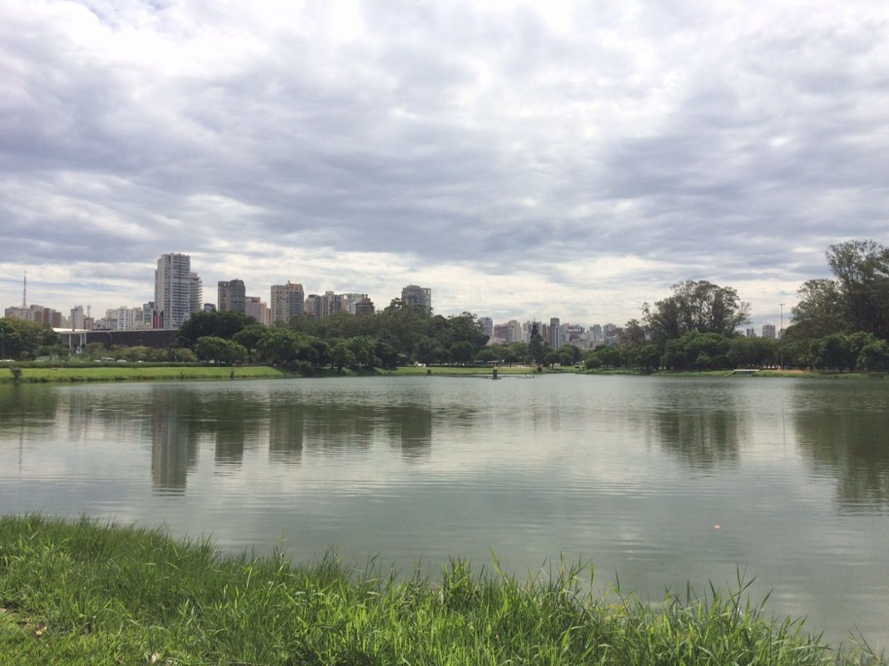 Ibirapuera - O que fazer em Sao Paulo: roteiro sao paulo - 1 dia pelas 7 melhores atrações