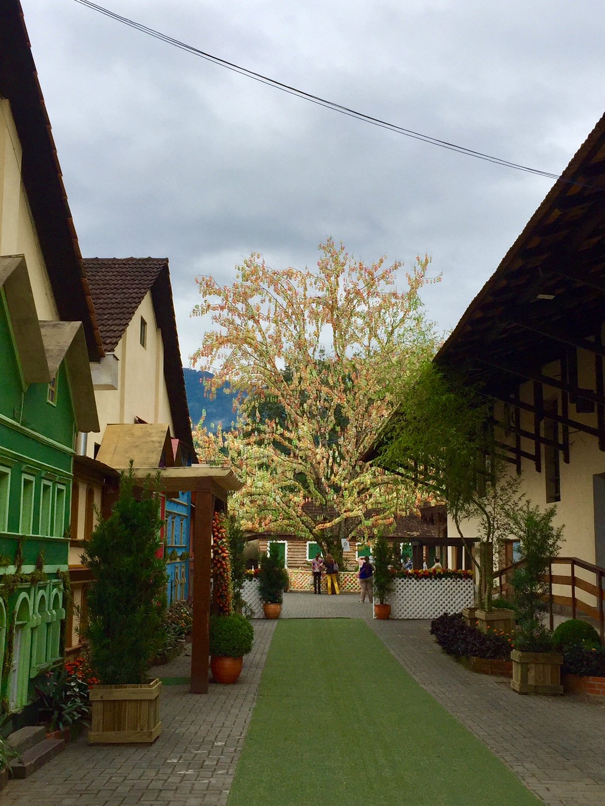osterbaum em pomerode
