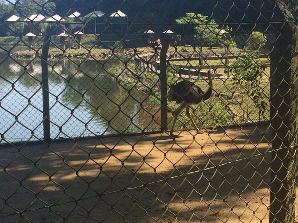Zoológico Joinville