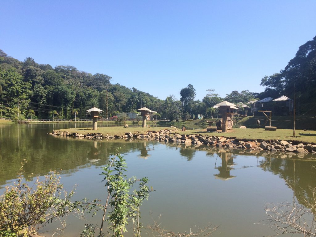 o-que-fazer-em-joinville-em-um-dia