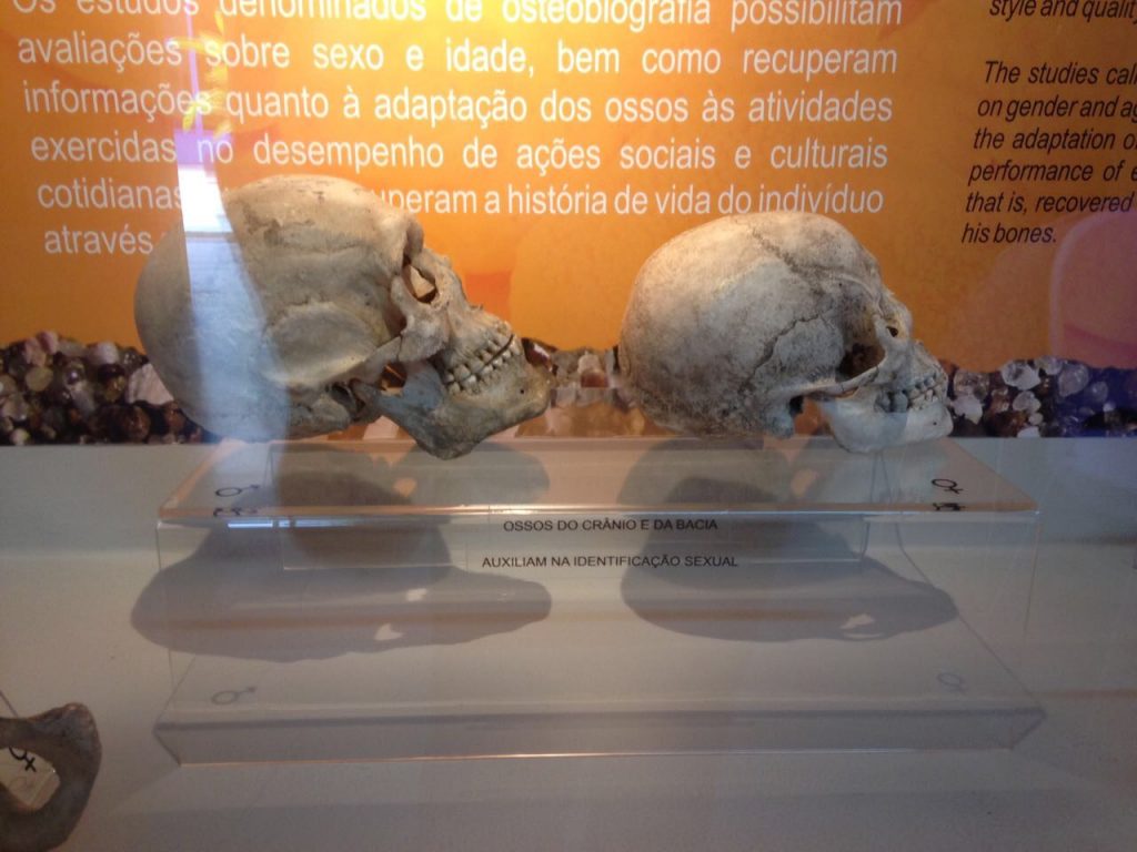 Coisas para fazer em Joinville