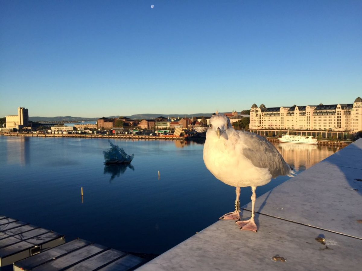 oslo noruega o que fazer