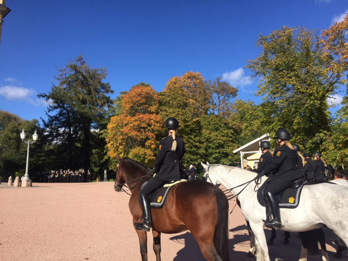 oslo troca de guarda