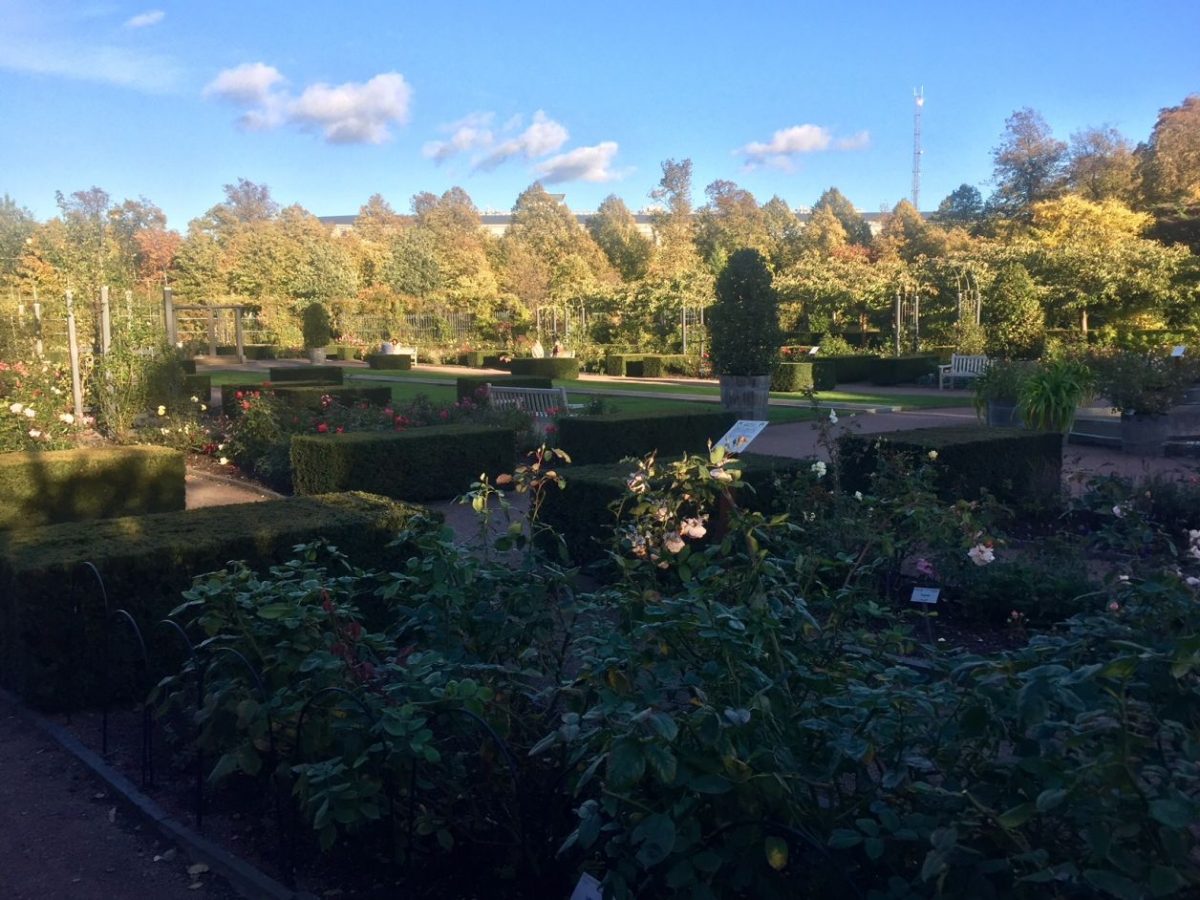 Gotemburgo garden society