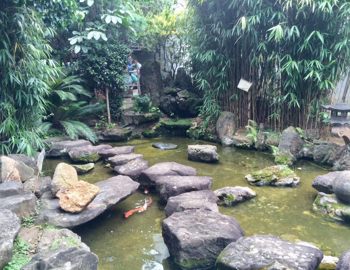 passeios gratuitos em São Paulo: Jardim Japonês