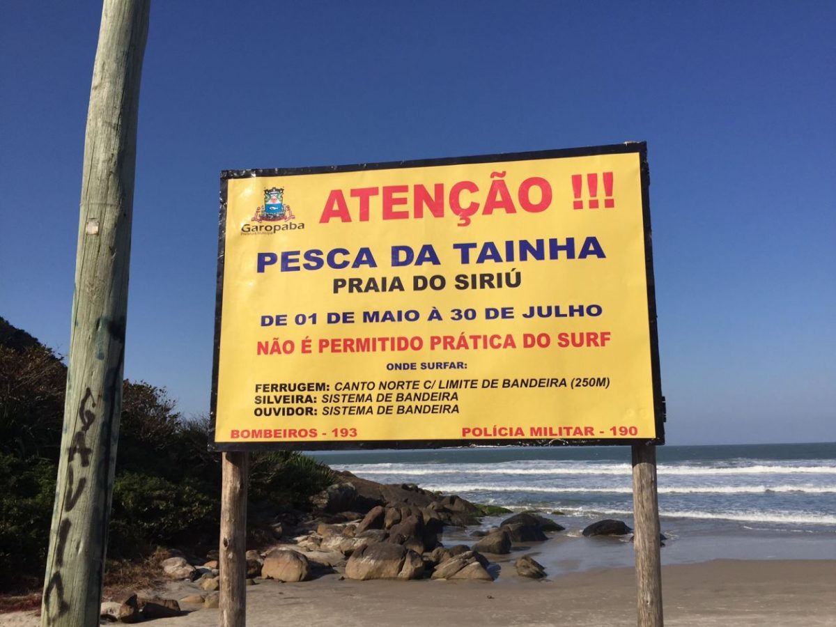 garopaba surf Santa Catarina