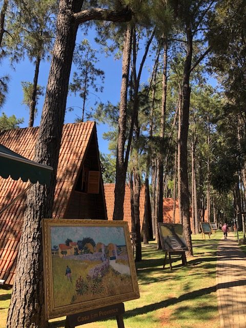 Parque Van Gogh em Holambra