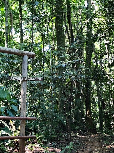 aguaí santuário ecológico